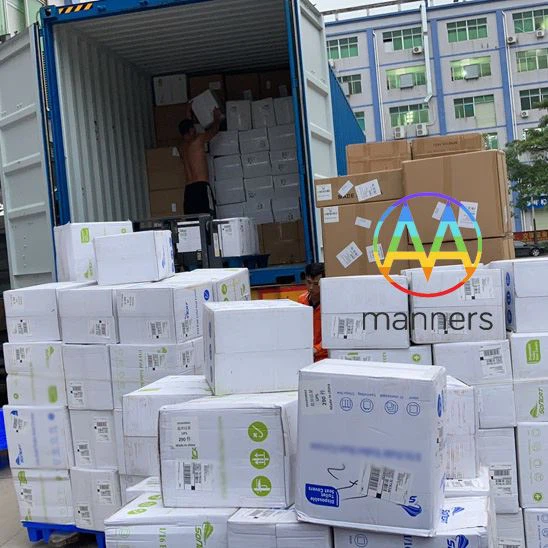 A japán ügyfél 5,000db testreszabott orvosi fül-orr-gégelőlapátok és burok vá...